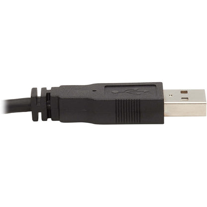Tripp Lite Dual Dvi Kvm Cable Kit - Dvi, Usb, 3.5 Mm Audio (3Xm/3Xm) + Dvi (M/M), 6 Ft. (1.83 M)