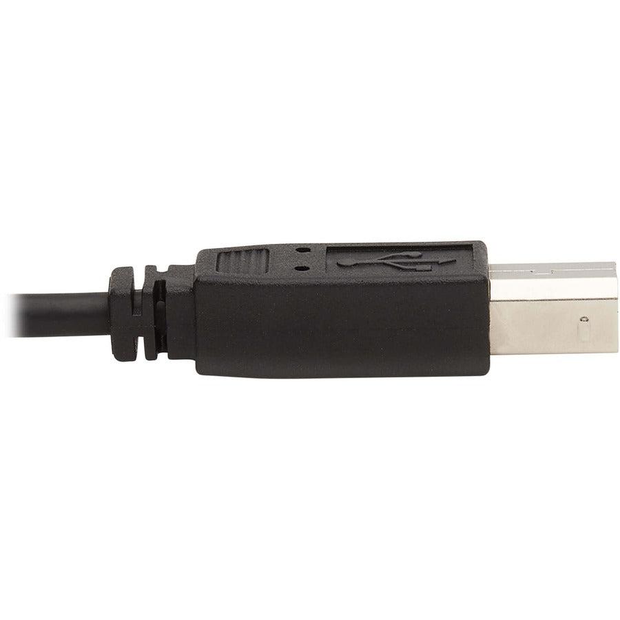 Tripp Lite Dual Dvi Kvm Cable Kit - Dvi, Usb, 3.5 Mm Audio (3Xm/3Xm) + Dvi (M/M), 10 Ft. (3.05 M)