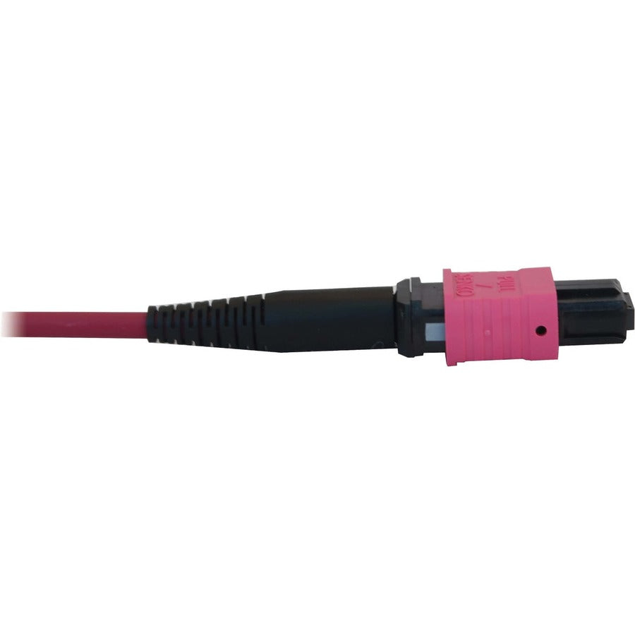 Tripp Lite N858B-10M-3X8Mg 40/100/400G Multimode 50/125 Om4 Fiber Optic Cable (3X8F Mtp/Mpo-Pc F/F), Lszh, Magenta, 10 M (32.8 Ft.)