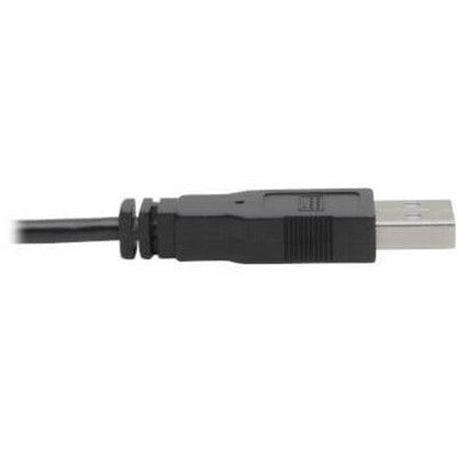 Tripp Lite Dvi To Usb-A Dual Kvm Cable Kit - (2X Male/2X Male), 1920 X 1200 (1080P) @ 60 Hz, 3.05 M